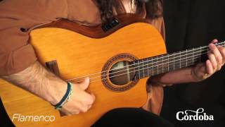 Cordoba Guitars  C5CE Nylon String Guitar [upl. by Retniw225]