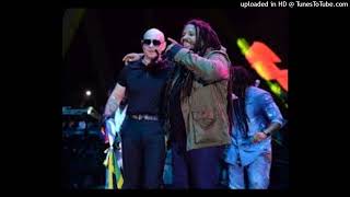 Pitbull ft Stephen Marley  Options Original Instrumental [upl. by Nylave]