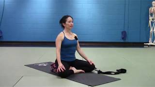 Therapeutic Yoga with Nydia Movement Meditation Part 4 [upl. by Gerome]