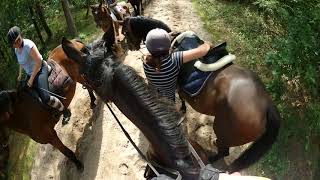 Buitenrit bij Terpstra op Terschelling 16082017 [upl. by Reisman]