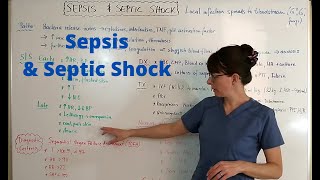 Sepsis amp Septic Shock [upl. by Mosi]