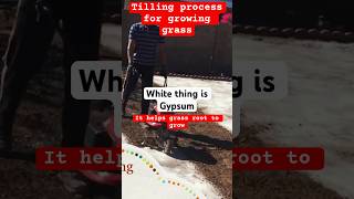 Soil tilling process using gypsum lawn landscaping lawncare grass viral youtubeshorts diy [upl. by Ab]