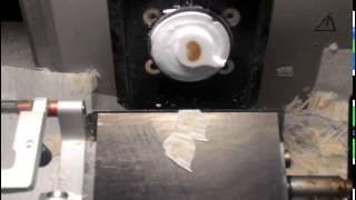 Sectioning of Frozen Tissues [upl. by Christis214]