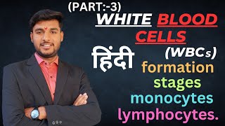 White Blood Cells in Hindi  WBCs kya hoti hai  Formation  Types  Functions  Blood part  3 [upl. by Otrebron]