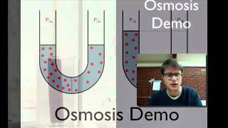 Osmosis Demo [upl. by Toms741]