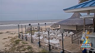 St George Island Live Cam  Florida beach live webcam  Gulf Coast Live Cam [upl. by Button673]