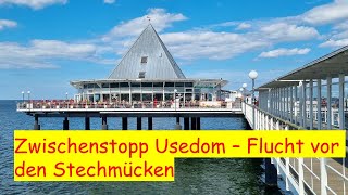 StechmückenPlage auf dem Weg nach Polen und dem Baltikum  Zwischenstopp Usedom [upl. by Sheridan]