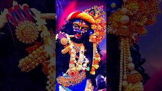 laddu radheshyam love song krishnasong radhakrishnaserial vrindavan shortvideo radha jai [upl. by Amias]