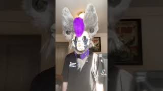 Skull Fursuit Tiktok Comp Clean 3 [upl. by Nerdna]