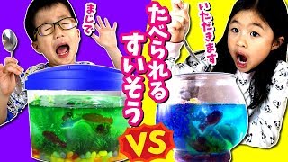 どっちの水槽たべたい？ 食べられる アクアリウム🐠🐟 DIY チャレンジ💥 料理 対決😆 女子 VS 男子 [upl. by Ettennej213]