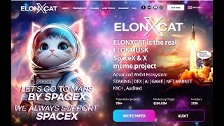 ELONXCAT OFFICIAL VIDEO  ElonMusk amp SpaceX Meme Project [upl. by Candless]