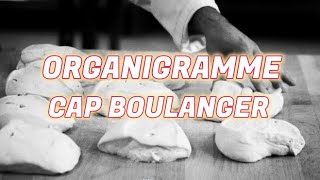 Organigramme CAP boulanger [upl. by Artina]