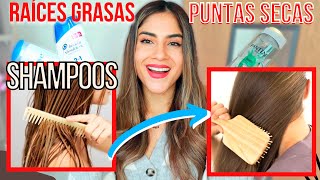 TOP 5 SHAMPOOS para CABELLO GRASO 👌 RAÍCES GRASAS y PUNTAS SECAS ECONÓMICOS del SÚPER Y FARMACIA [upl. by Annamarie]