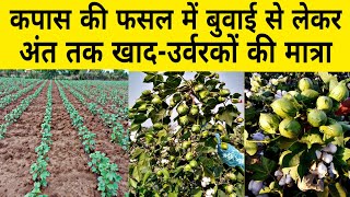 कपास में कौनसा खाद डाले  npk fertilizer  DAP khad  13 0 45 fertilizer  kapas ki kheti  npk [upl. by At]