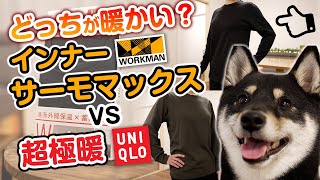 【ワークマン】サーモマックス インナーとユニクロの超極暖 暖かさ比較【柴犬】 [upl. by Mcnutt]