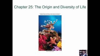 BIOL 1407 Lecture 25 The Origin and Diversity of Life [upl. by Kantos]