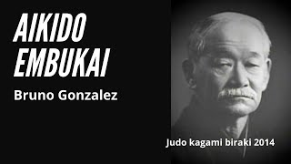 Aikido embukai by Bruno Gonzalez [upl. by Derreg]