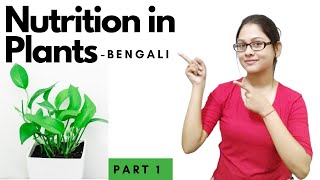 NCERT Class 7 Science Chapter 1 in Bengali  NUTRITION IN PLANTS [upl. by Kiehl]