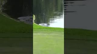 Golf ball BOUNCES out of the water 🤯 [upl. by Aekerly]