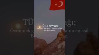 “Bayrağı bayrak yapan üstündeki kandır”🇹🇷🐺 keşfet türkiye meryemzeynep islam bozkurt [upl. by Norward73]