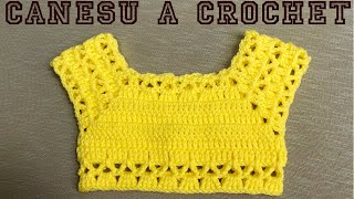 PASO A PASO PARA TEJER CANESÚ A CROCHET [upl. by Dorotea]