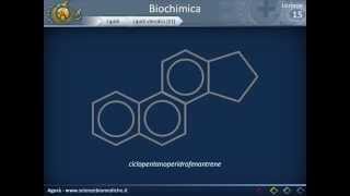 Biochimica strutturale  Lipidi [upl. by Mimi]