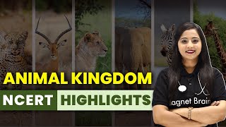 Animal Kingdom  NCERT Highlights  NEET Biology [upl. by Eeslehc202]