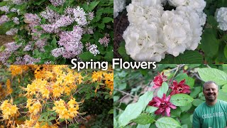 Whats Your Favorite Spring Flowering Shrub  Viburnum Azalea Lilac Calycanthus Weigela [upl. by Oika263]