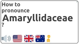 How to pronounce Amaryllidaceae in english [upl. by Ardnued816]