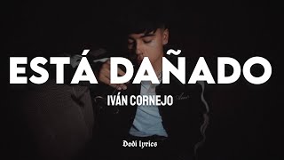 Iván Cornejo  Está Dañado LETRALYRICS [upl. by Dolph]