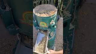 300 type feed pellet machine used for homemade pellet productionSqueezing feed pellets machine [upl. by Lorn]