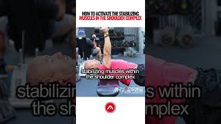 How to activate the stabilizing muscles in the shoulder complex [upl. by Jegger879]