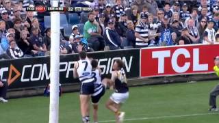 Round 4 AFL  Geelong Cats v Richmond match summary [upl. by Symons]