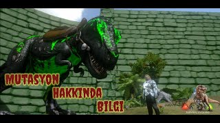 ARK Survival Evolved  MUTASYON NEDİR NASIL YAPILIR [upl. by Ardnahsal]