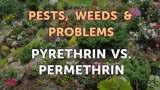 Pyrethrin Vs Permethrin [upl. by Acisey]