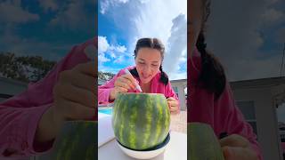 Raju made a fake watermelon for Champa😱😘short funny funnyvideo [upl. by Nylesaj648]