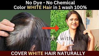 I Apply it on My White Hair amp see the Magic  How to Color White Hair at Home Naturally 1 Wash [upl. by Viole]