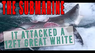 The Submarine  Part 7 When the Submarine bit a 12ft Great White Shark in half [upl. by Alikee]