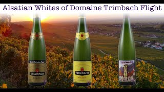 A conversation with Anne Trimbach of Domaine Trimbach [upl. by Afinom]