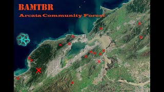 Arcata Community Forest in 4K [upl. by Eladnar217]