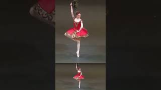 Superb Svetlana ballet zakharova dance pamboehmesimon [upl. by Jaquelin318]