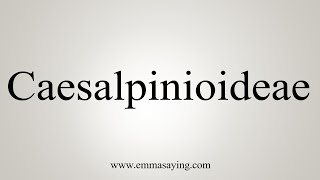 How To Say Caesalpinioideae [upl. by Kiker639]