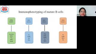 Approach To Diagnosis Of B Chronic Lymphoproliferative Disorder By Flow Cytometry Dr Rashmi Kushwah [upl. by Annocahs]