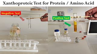 Xanthoproteic Test [upl. by Airotkiv]