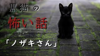 【怖い話】【朗読】【黒猫の怖い話】「ノザキさん」 投稿者 黒いうさぎ様 奇々怪々より [upl. by Seebeck]