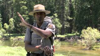 Easy Yosemite Valley Day Hikes [upl. by Rebm593]