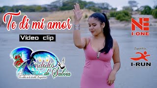 TE DI MI AMOR  ESPLENDIDOS DE SALVIA  VIÍDEO CLIP OFICIAL JUNIO 2019 [upl. by Martinelli507]