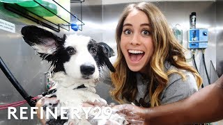 I Learned How To Be A Professional Dog Groomer  Lucie For Hire  Refinery29 [upl. by Aticnemrac]