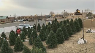 How to buy a Christmas treecutting permit in New Mexico [upl. by Eliott]