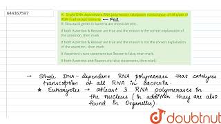 A  SingleDNA depenedent RNA polymerase catalyases transcriptionof all typesof RNA in all except [upl. by Spiros]